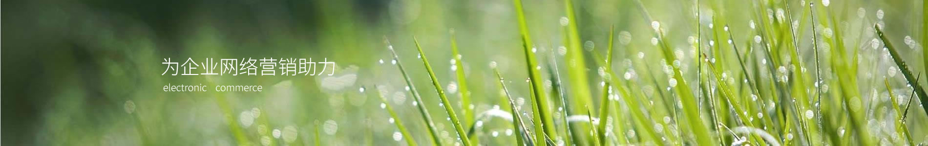 ʩصչʾ޹˾